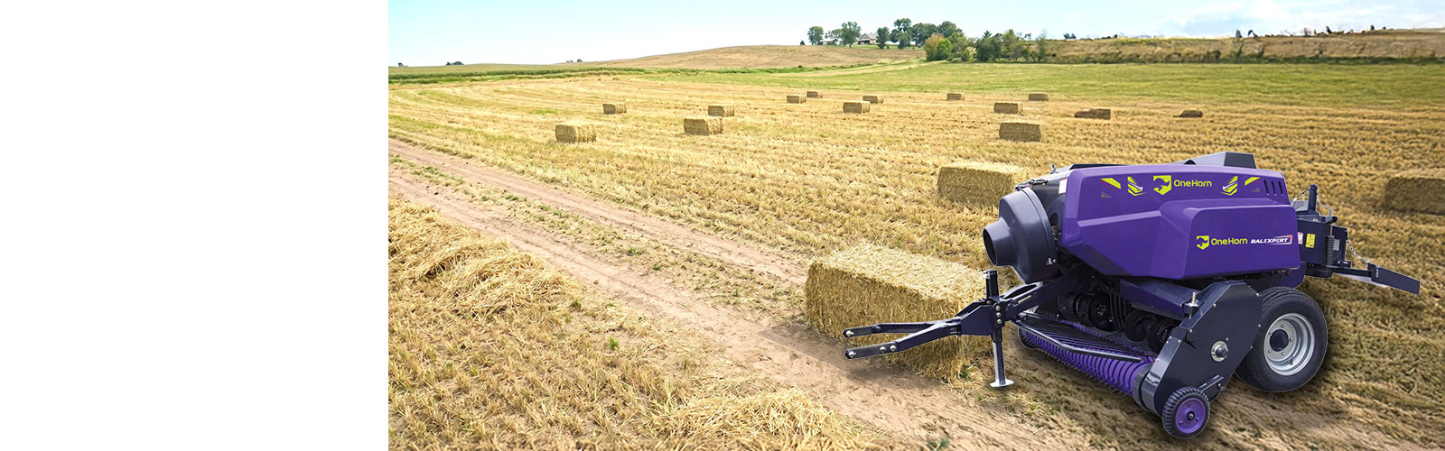  Bale Xpert