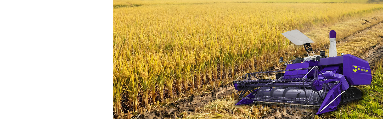  AgroNova